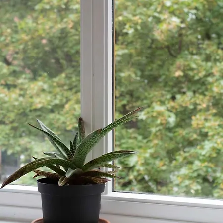 Modern Cozy 2br Leilighet